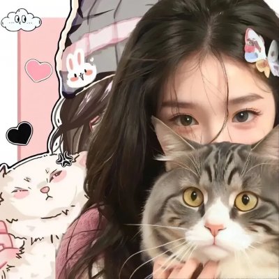 衣柜里的猫